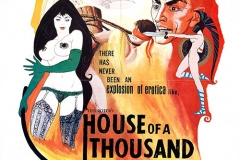 house_of_thousand_delights_poster_01