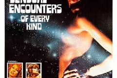 sensual_encounters_of_every_kind_poster_01