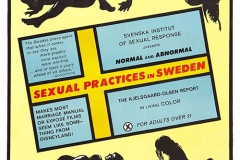 sexual_practices_in_sweden_poster_01