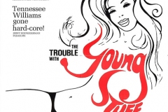 trouble_with_young_stuff_poster_01