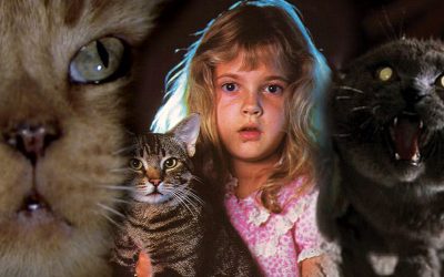 20 of the Best Cats in Horror