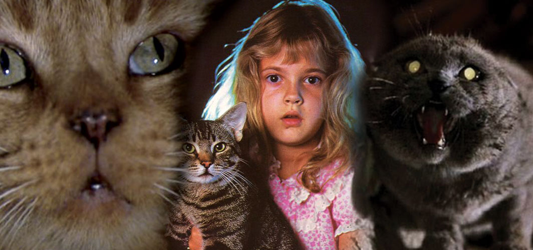 20 of the Best Cats in Horror