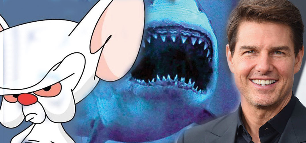 Scare Share News: Blue Sharks & Broken Feet