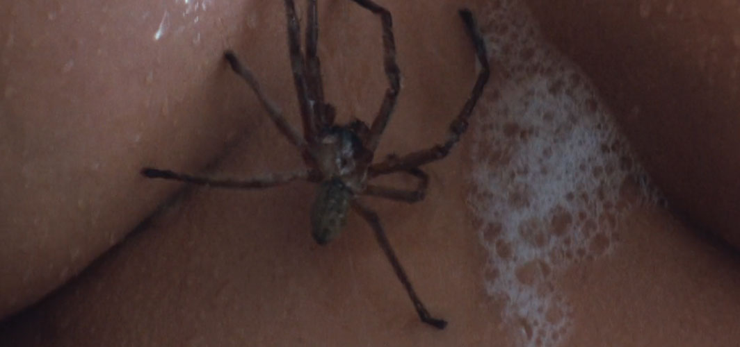 Arachnophobia (1990) - 11 Scariest Shower Scenes in Horror