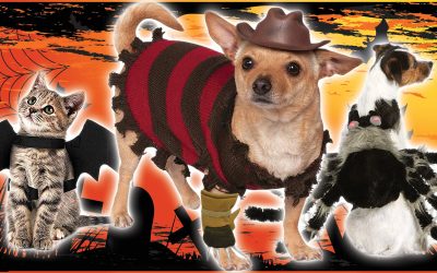 Halloween Costumes for Pets – Terrifying 2019 Collection