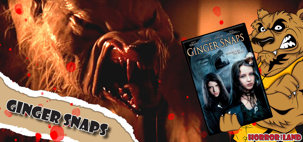 Best Werewolf Movies of All Time: 'Ginger Snaps,' 'Teen Wolf,' More –  IndieWire