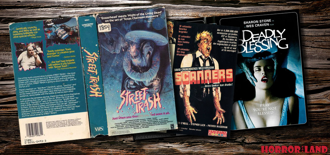 The Ultimate Guide To 80’s VHS Box Art That Scared You – BIG SCENE Illustrated - Horror Land