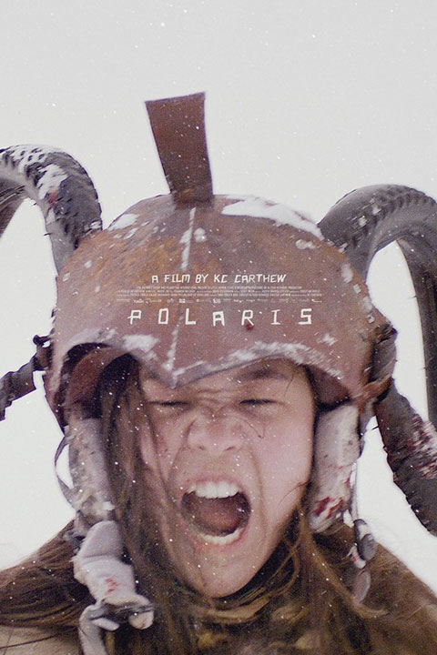 Polaris (2022) - Official Poster - Horror Land